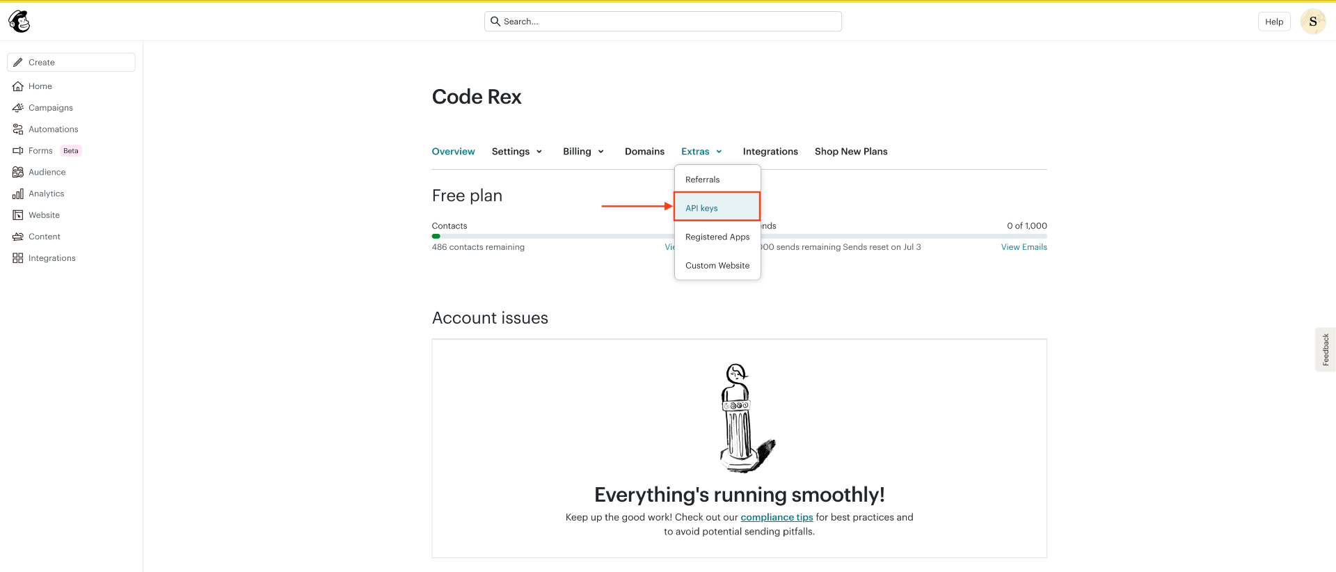 How To Integrate With MailChimp - WPFunnels 2 Go to MailChimp API keys