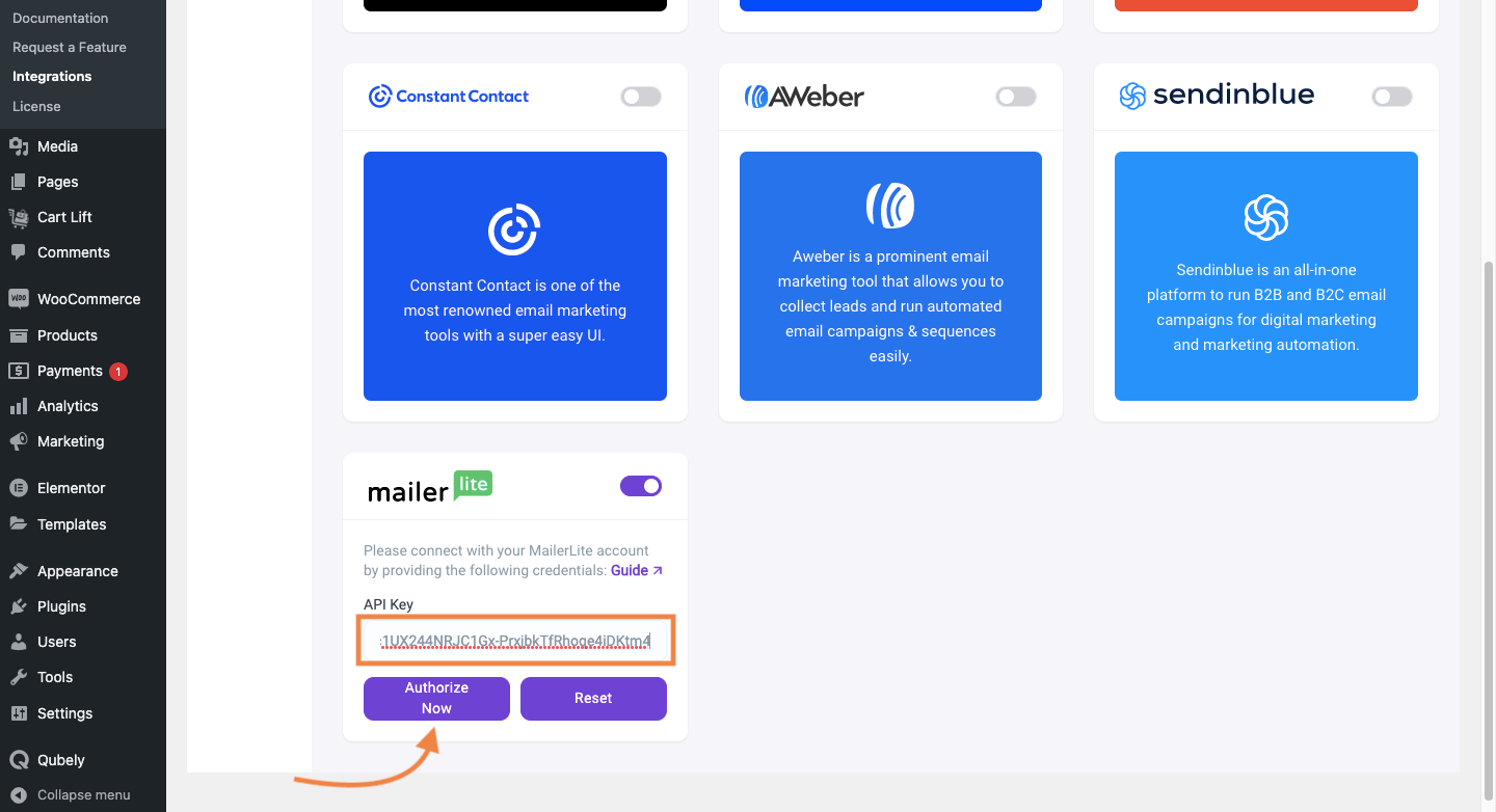 Authorize MailerLite integration