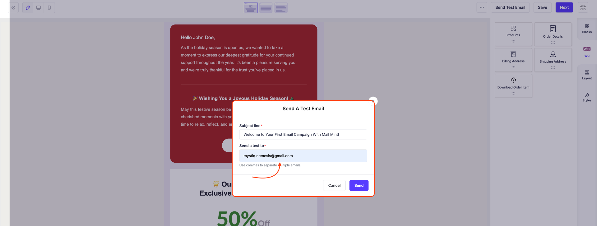 How To Create And Send Regular Email Campaigns In Mail Mint 14 Send A Test Email