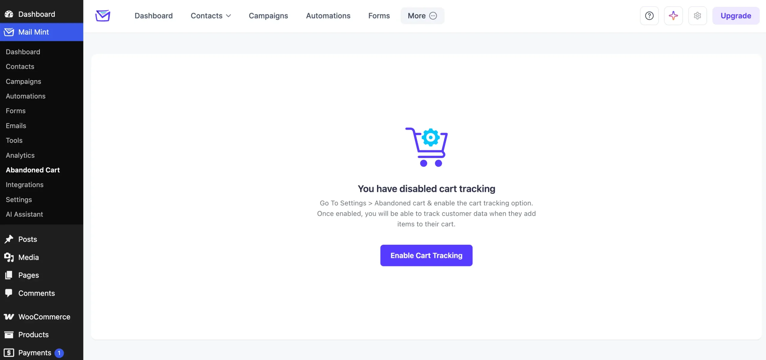 How To Enable The Abandoned Cart Feature In Mail Mint 1 enable cart tracking scaled