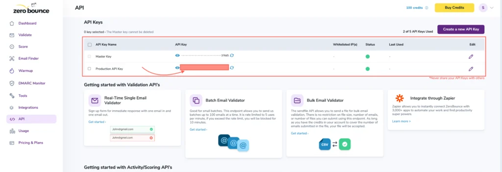 ZeroBounce Integration With Mail Mint For Email Validation 3 Copy the API Key