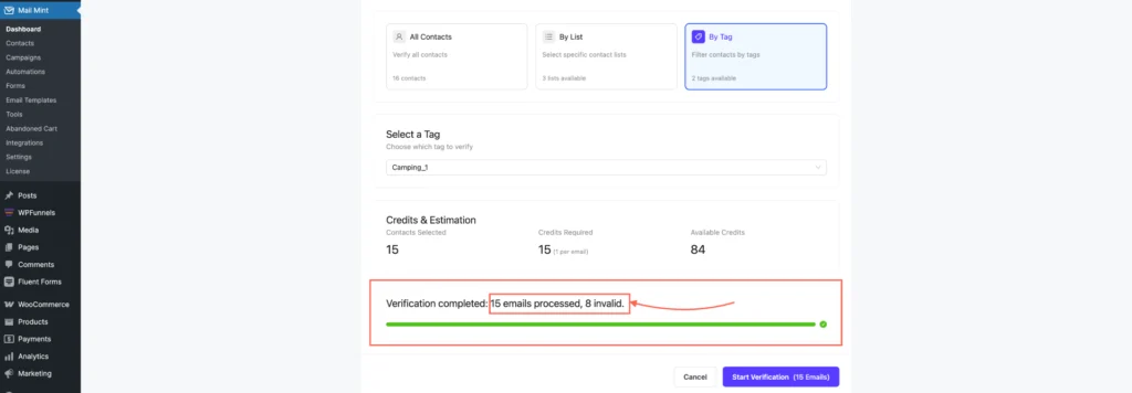 ZeroBounce Integration With Mail Mint For Email Validation 12 Verification Results