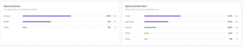 audience insights