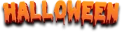 Promotional Banner