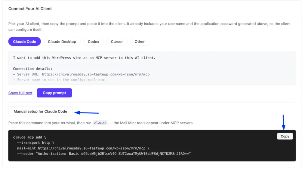 MCP for AI Agents 6 Mail Mint MCP settings page showing the Manual Setup section expanded with instruction text and a dark code block containing the pre-filled claude mcp add command and a Copy button