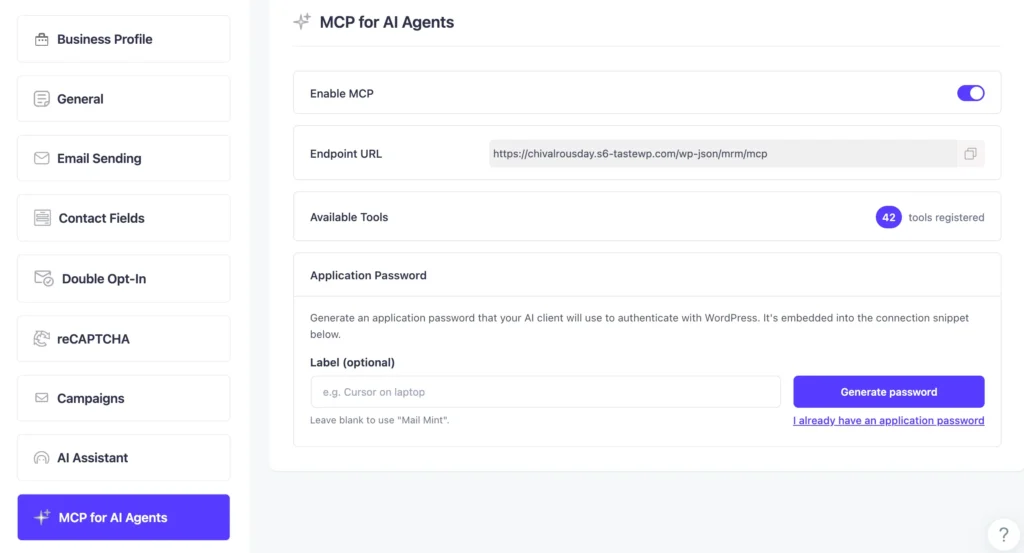 mail mint mcp settings page